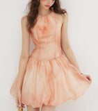 DR236222/Pre-order