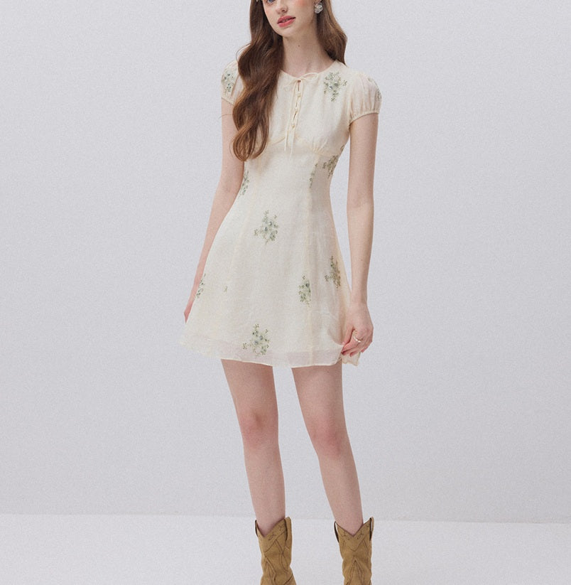 DR236112/Pre-order