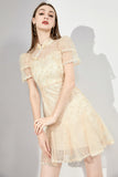 DR232531/Pre-order {Restocked}
