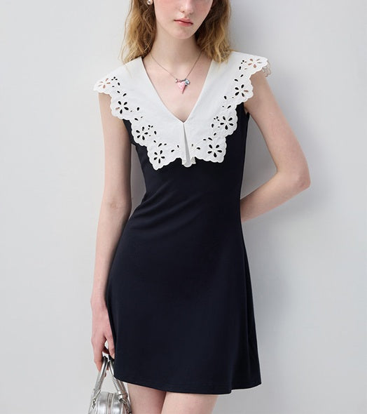 DR236144/Pre-order