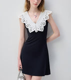 DR236144/Pre-order