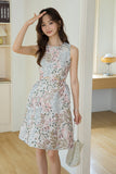 DR235637/Pre-order