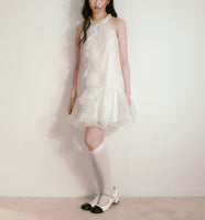 DR235109/Pre-order
