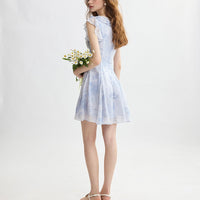 DR235157/Pre-order