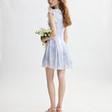 DR235157/Pre-order