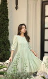 DR236262/Pre-order