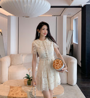 DR235620/Pre-order