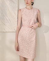 DR235639/Pre-order