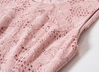 DR235560/Pre-order