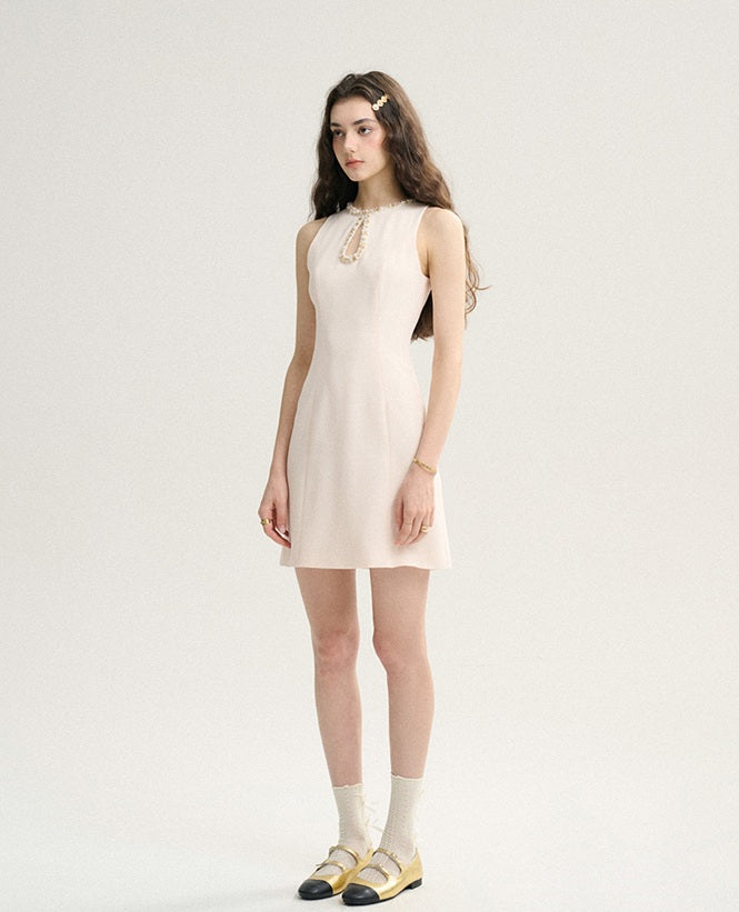 DR235571/Pre-order
