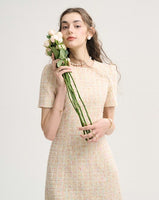DR235627/Pre-order