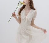 DR236100/Pre-order