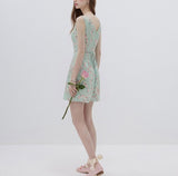 DR236074/Pre-order