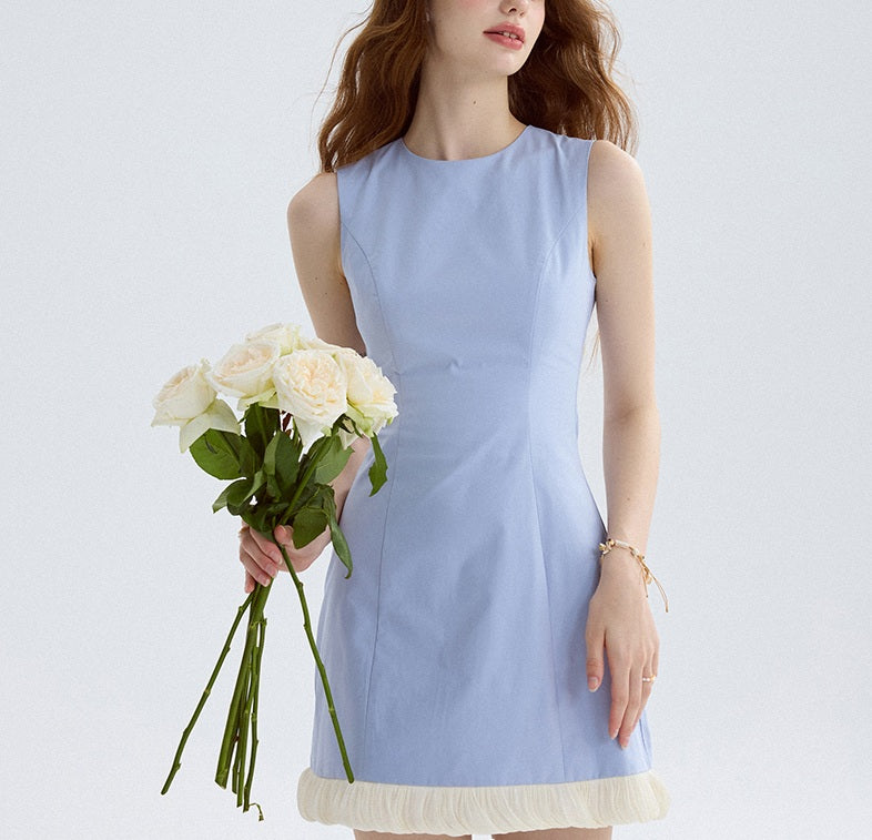 DR235250/Pre-order