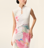 DR235273/Pre-order 3 Colours