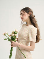 DR235627/Pre-order