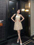 DR236123/Pre-order