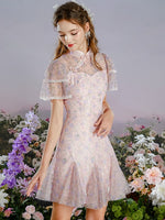 DR235228/Pre-order