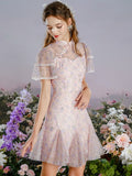 DR235228/Pre-order