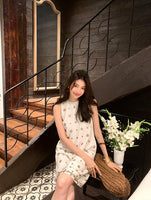 DR235584/Pre-order