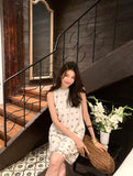 DR235584/Pre-order
