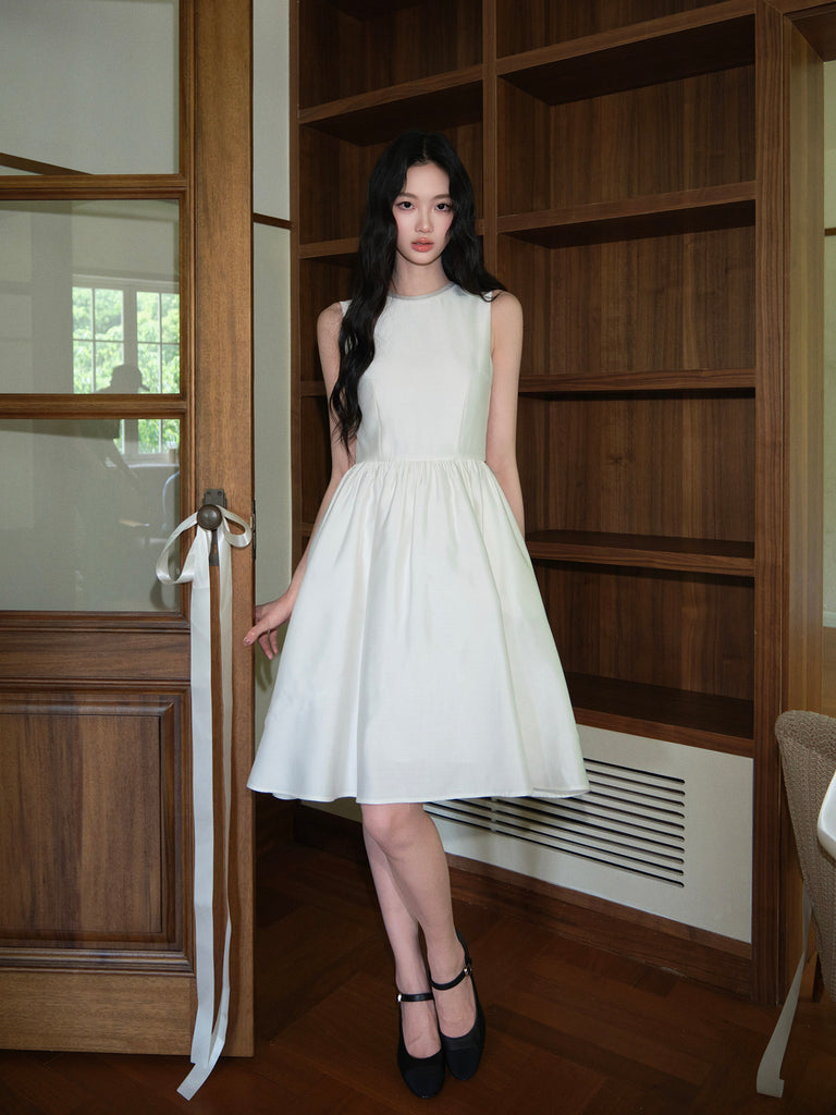 DR236286/Pre-order