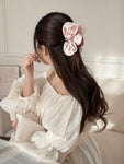 HA25262/Pre-order