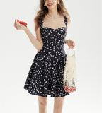 DR236230/Pre-order