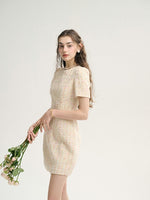 DR235627/Pre-order