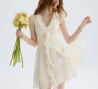 DR235251/Pre-order