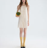 DR235134/Pre-order