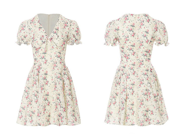 DR236088/Pre-order