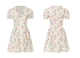 DR236088/Pre-order