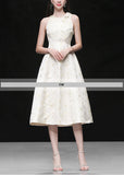 DR235139/Pre-order