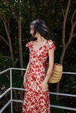 DR236218/Pre-order
