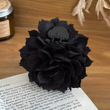 HA25228/Pre-order