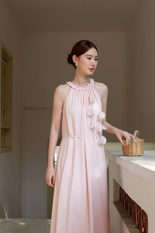 DR236310/Pre-order