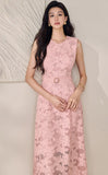 DR235560/Pre-order