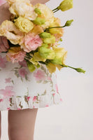 DR235614/Pre-order