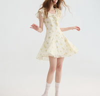 DR235093/Pre-order