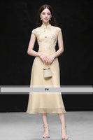 DR232503/Pre-order