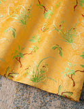 DR236128/Pre-order