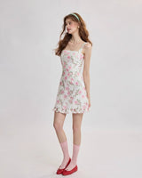 DR235614/Pre-order
