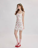 DR235614/Pre-order
