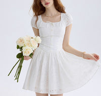 DR235556/Pre-order