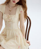 DR235217/Pre-order
