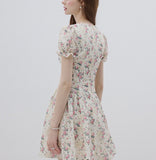 DR236275/Pre-order