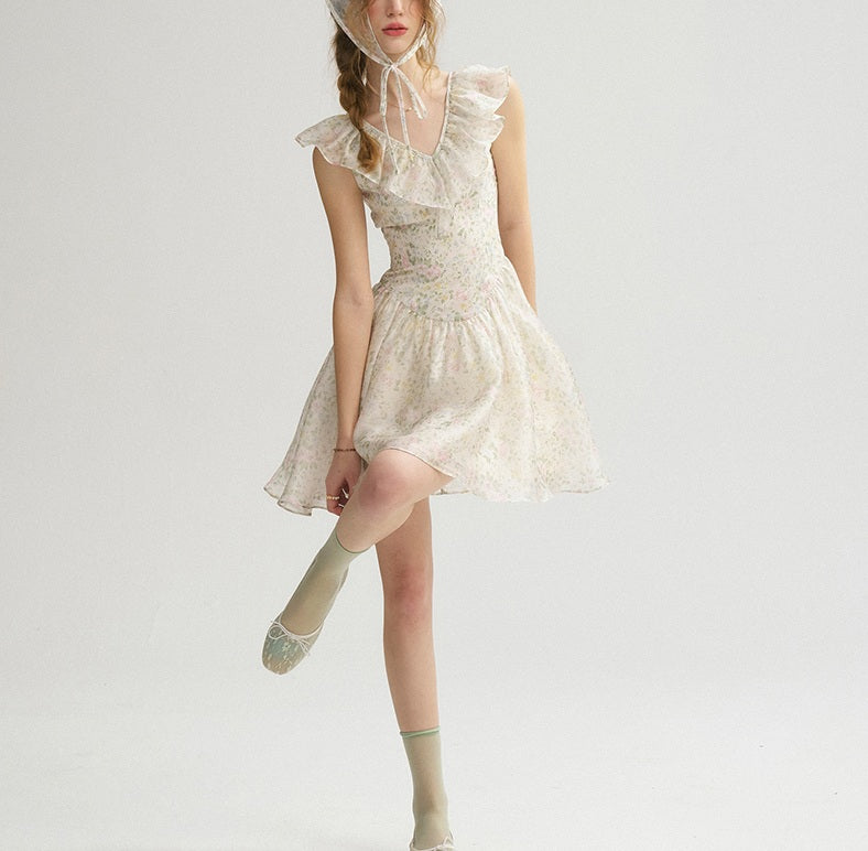 DR235064/Pre-order