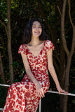 DR236218/Pre-order