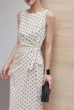 DR236239/Pre-order